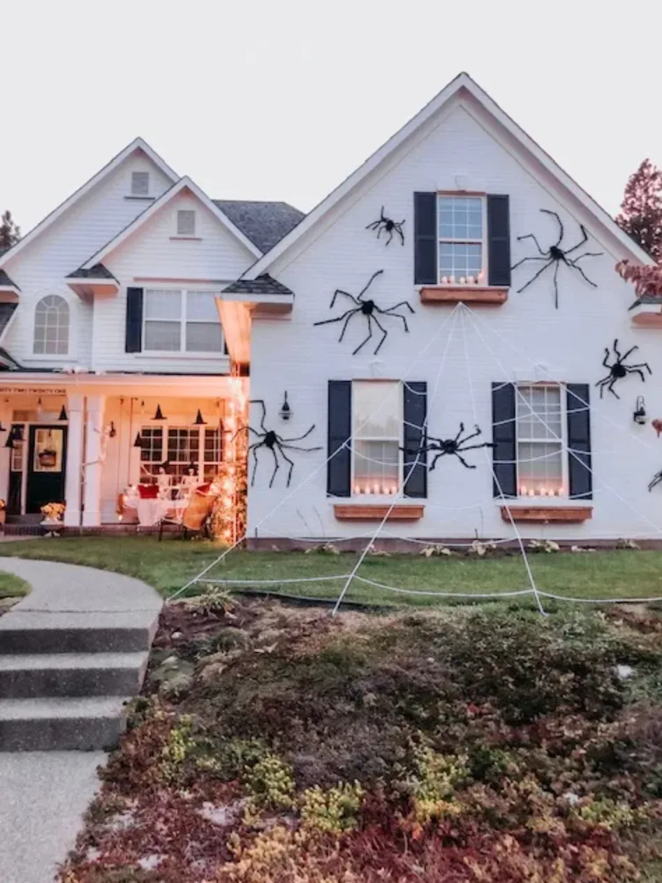 Spiders on the shutters