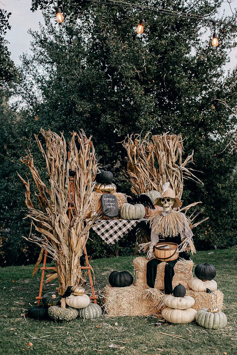 Scarecrow and corn stalks